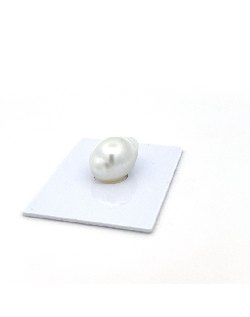 12mm+ gem  grade South Sea pearl, Indonesia