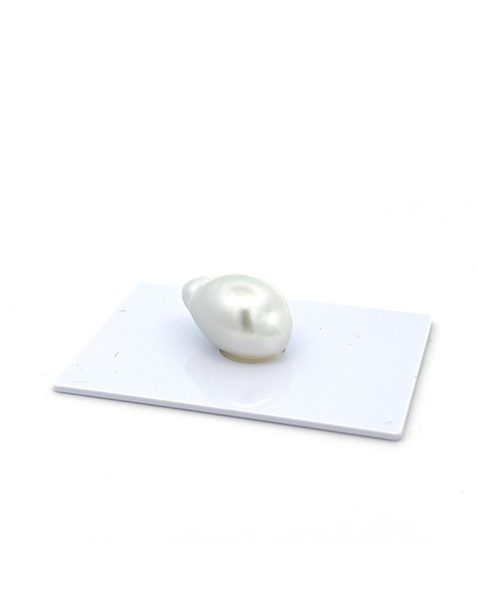 12mm+ gem  grade South Sea pearl, Indonesia