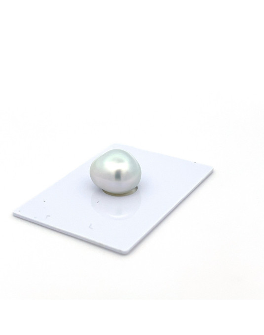 11.31*14.09*14.59mm South Sea pearl , origin Indonesia , fine  grade