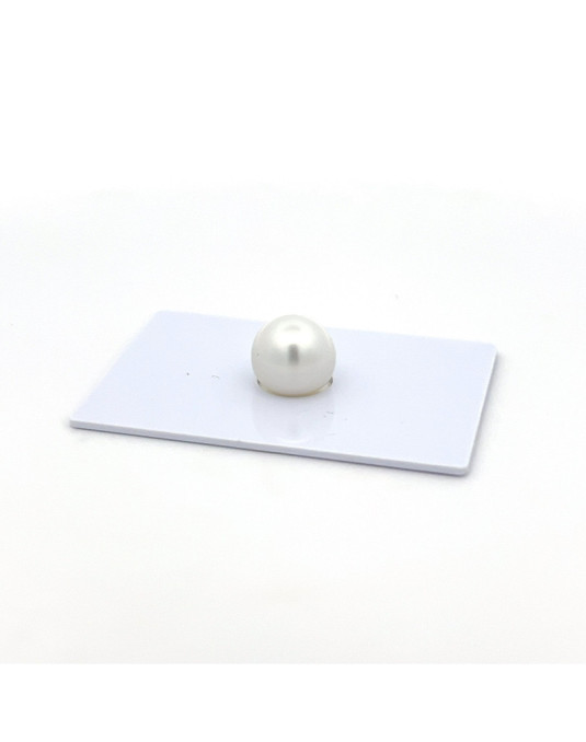 10.62*11.76*11.80 South Sea pearl , origin Indonesia , jewel  grade