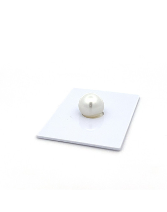 10.62*11.76*11.80 South Sea pearl , origin Indonesia , jewel  grade