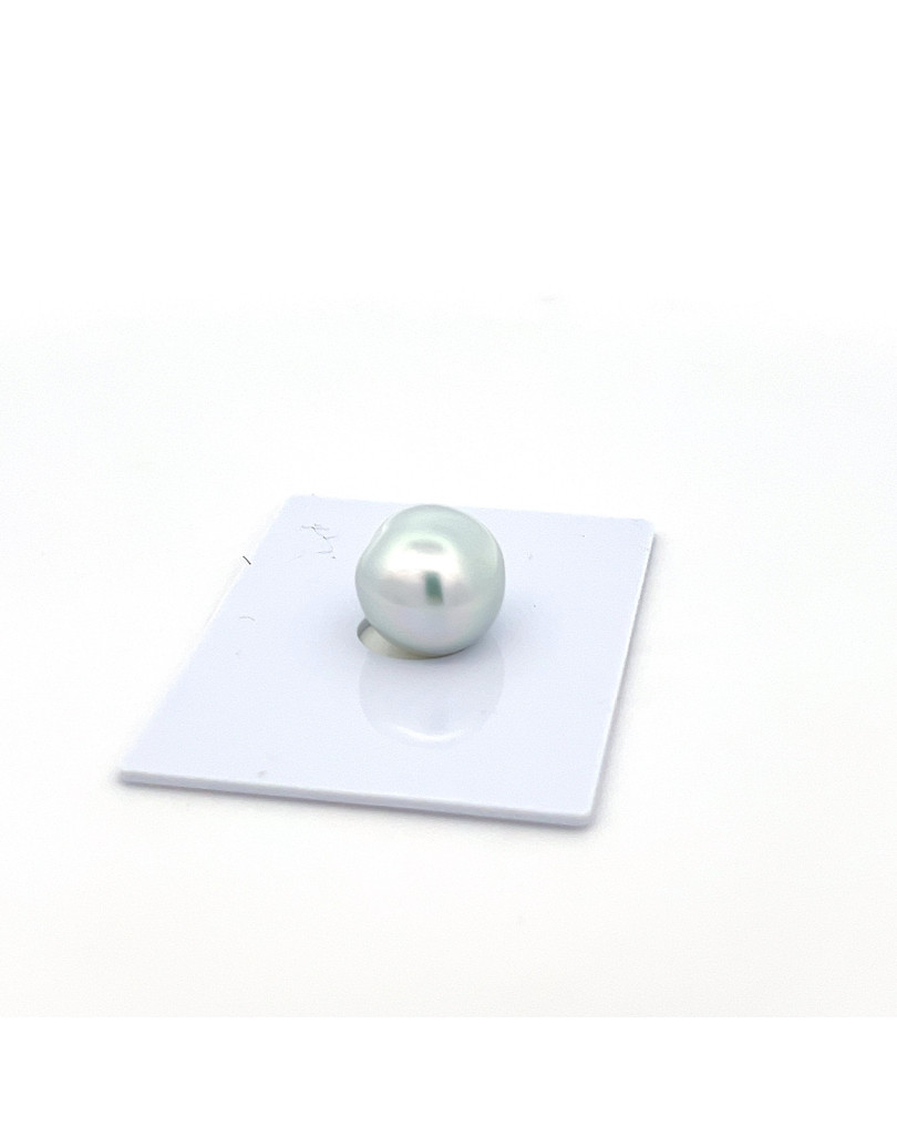 12mm+ gem  grade South Sea pearl, Indonesia