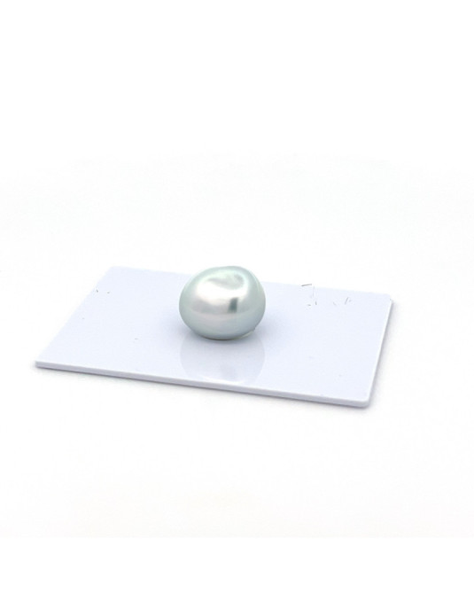 12mm+ gem  grade South Sea pearl, Indonesia