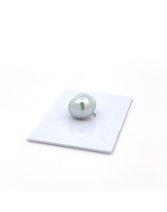 12mm+ gem  grade South Sea pearl, Indonesia