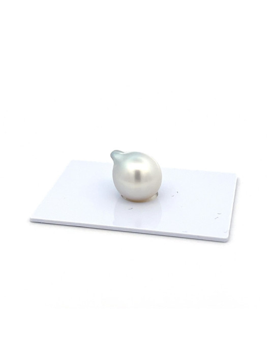 12.94*13.01*15.94mm South Sea pearl , origin Indonesia , jewel  grade