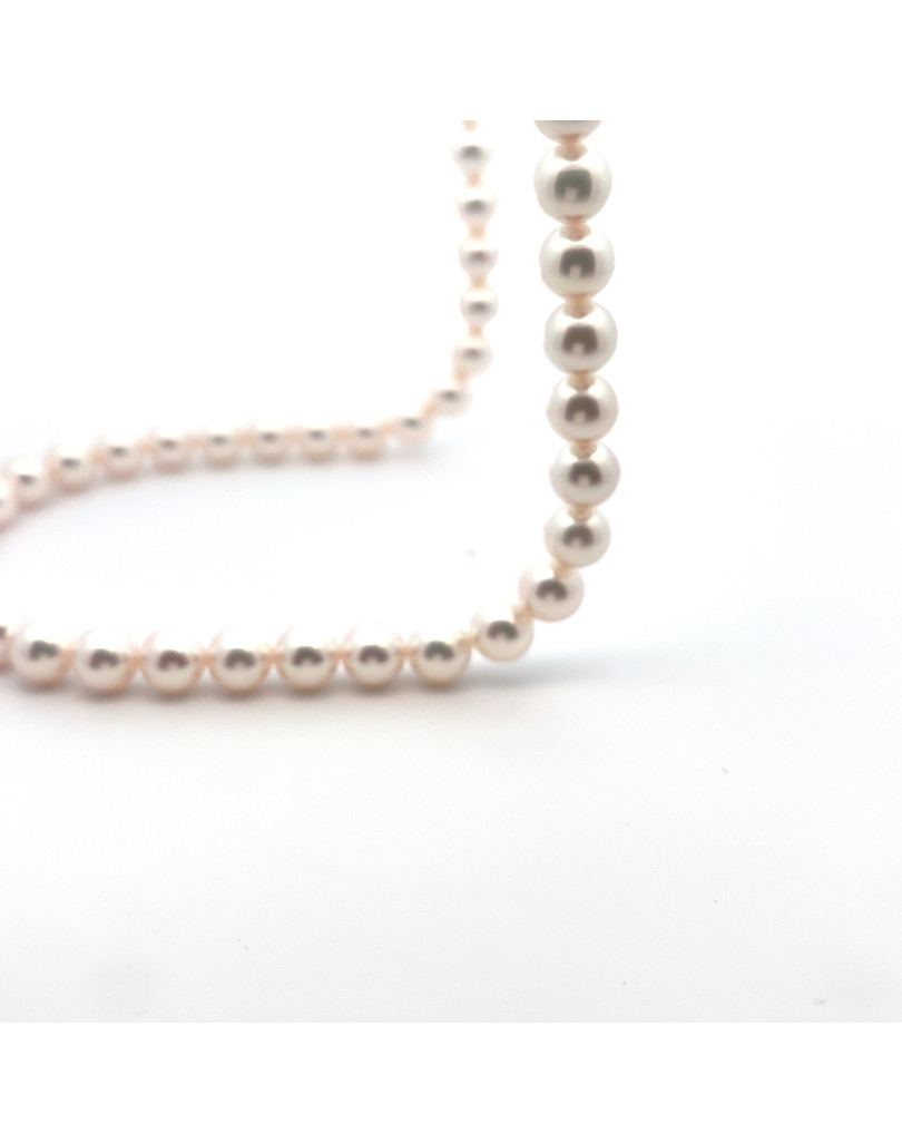 6mm+ gem  grade Akoya pearl, Japan