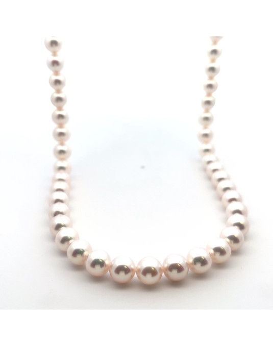 6mm+ gem  grade Akoya pearl, Japan