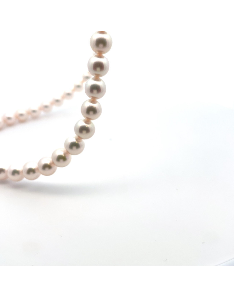 6mm+ gem  grade Akoya pearl, Japan