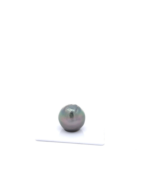 15mm+ jewel  grade Tahitian Black pearl, French Polynesia  