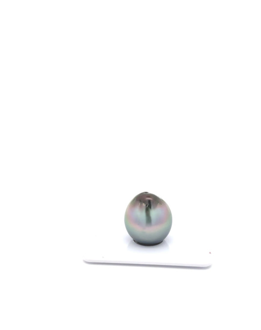 15mm+ jewel  grade Tahitian Black pearl, French Polynesia  