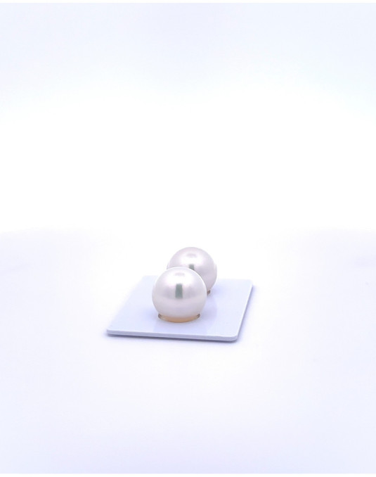 12mm+ gem  grade South Sea pearl, Indonesia