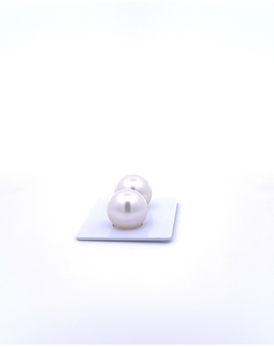 12mm+ gem  grade South Sea pearl, Indonesia