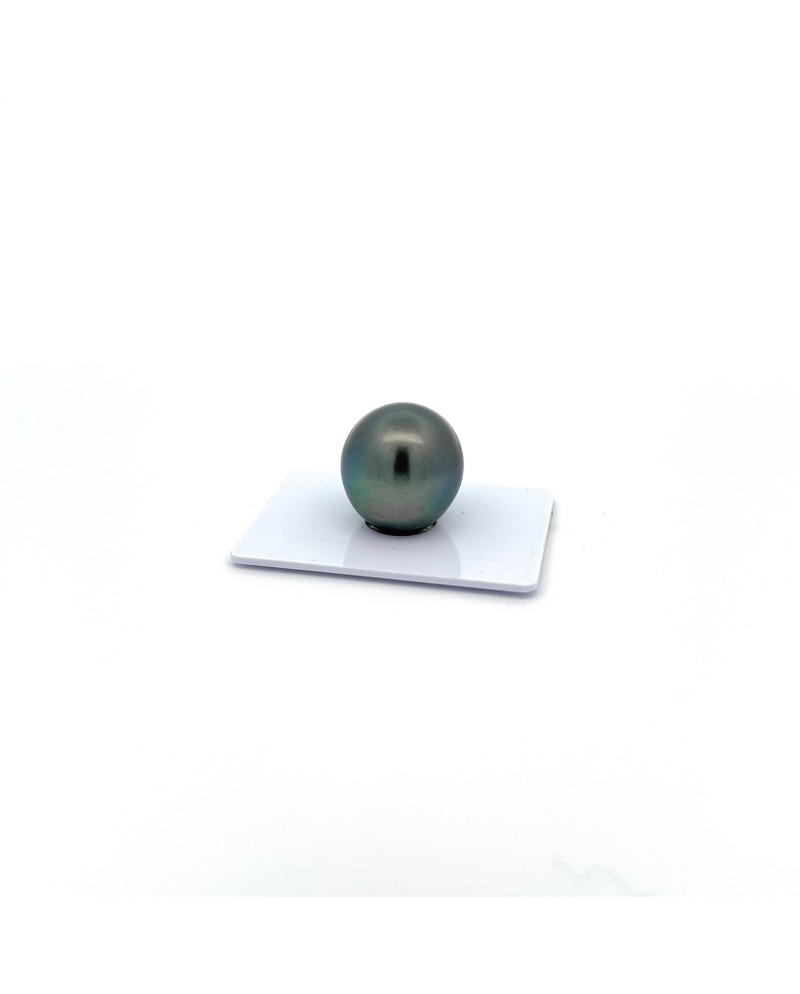 17mm+ gem  grade Tahitian Black pearl, French Polynesia  