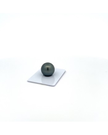 15mm+ fine  grade Tahitian Black pearl, French Polynesia  