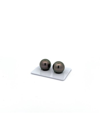 12mm+ gem  grade Tahitian Black pearl, French Polynesia  