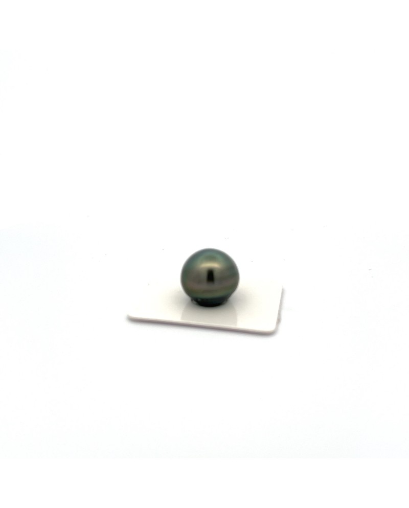15mm+ jewel  grade Tahitian Black pearl, French Polynesia  