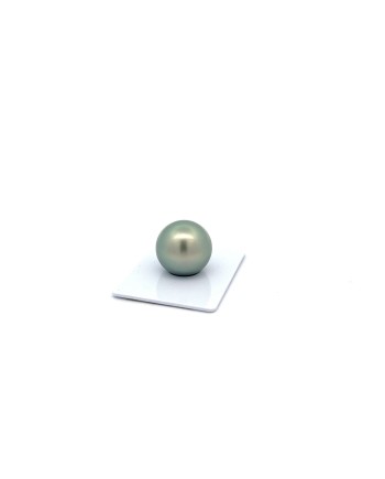 15mm+ gem  grade Tahitian Black pearl, French Polynesia  