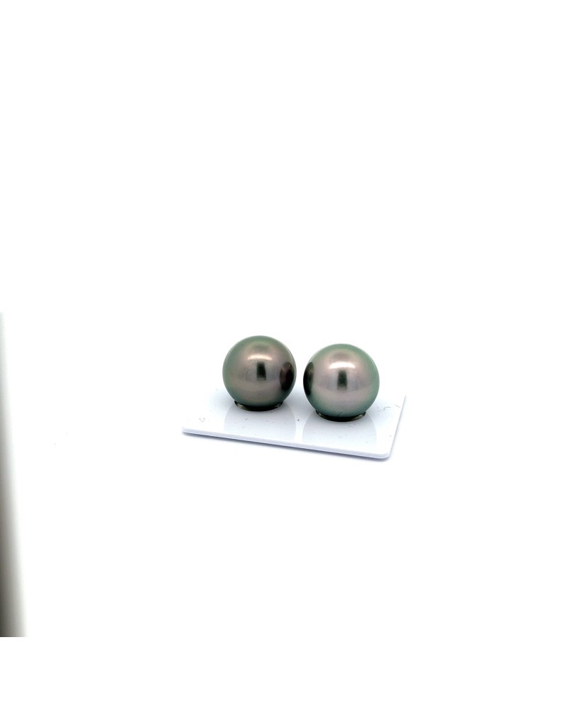 15mm+ gem  grade Tahitian Black pearl, French Polynesia  