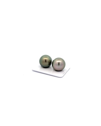 15mm+ gem  grade Tahitian Black pearl, French Polynesia  