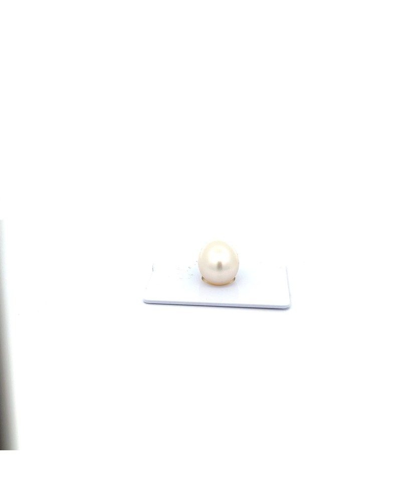 12mm+ gem  grade South Sea pearl, Australia