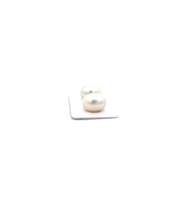 12.08/12.03mm South Sea pearl , origin Australia , fine  grade