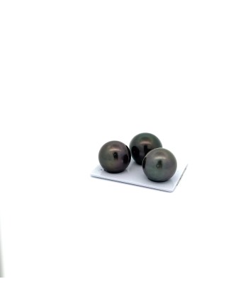 16.85/15.55/15.46mm Tahitian Black pearl , origin French Polynesia   , jewel  grade