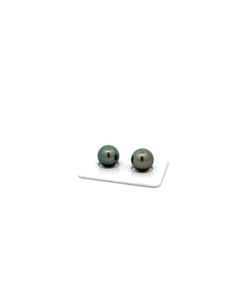 9mm+ jewel  grade Tahitian Black pearl, French Polynesia  
