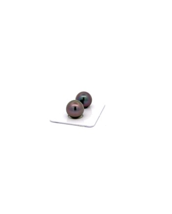12.21/12.11mm Tahitian Black pearl , origin French Polynesia   , fine  grade