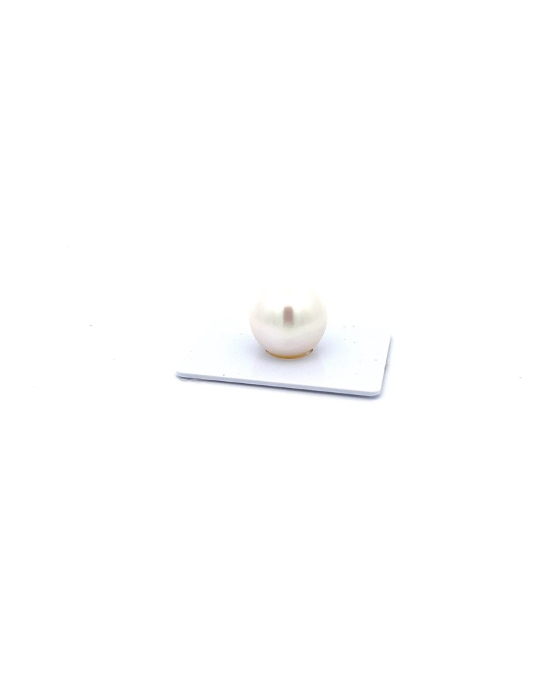 15.89mm South Sea pearl , origin Australia , fine  grade