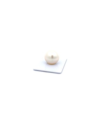 15.89mm South Sea pearl , origin Australia , fine  grade