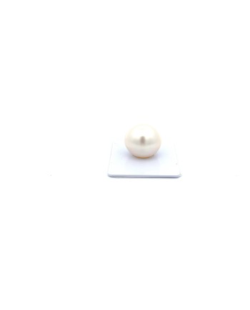 15.89mm South Sea pearl , origin Australia , fine  grade