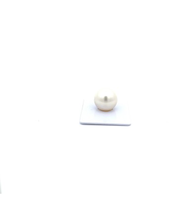 15.19mm South Sea pearl , origin Australia , gem  grade