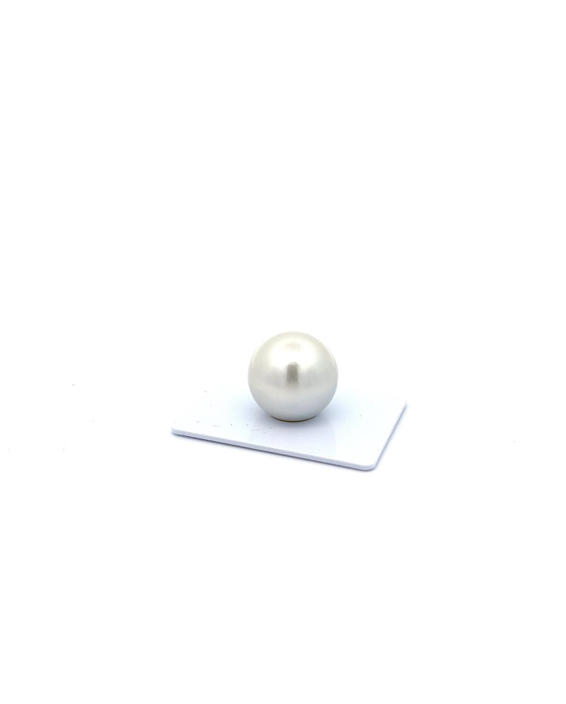 17mm+ gem  grade South Sea pearl, Australia