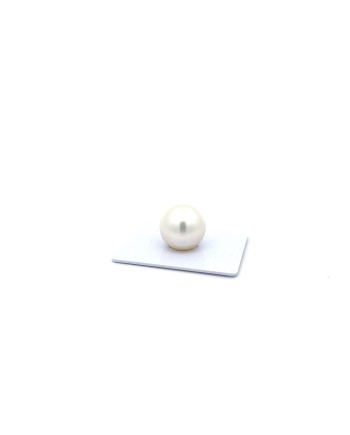 15mm+ gem  grade South Sea pearl, Australia