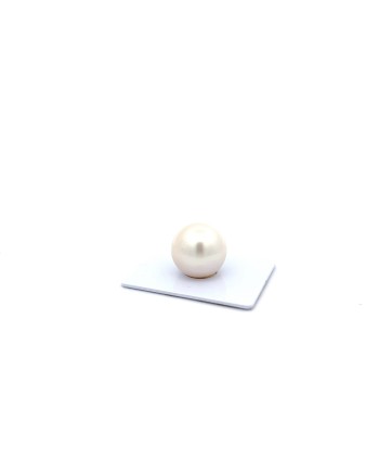 15mm+ gem  grade South Sea pearl, Australia