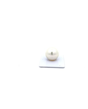 17mm+ gem  grade South Sea pearl, Australia