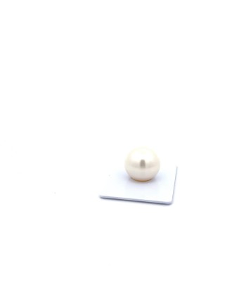 15mm+ fine  grade South Sea pearl, Australia