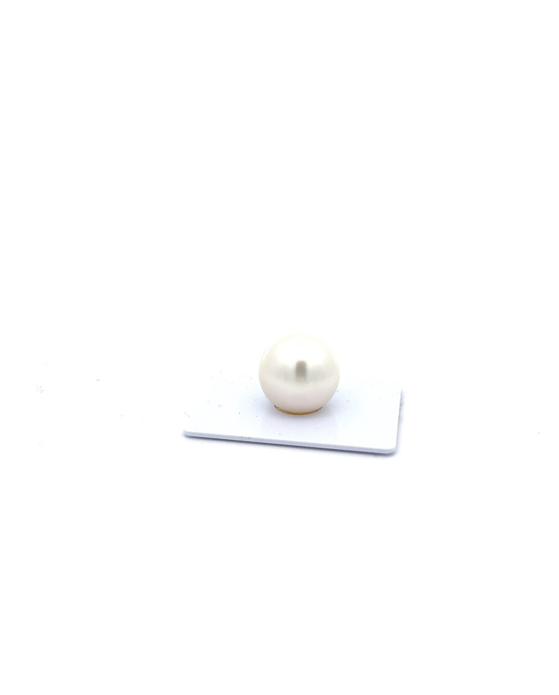 15mm+ gem  grade South Sea pearl, Australia