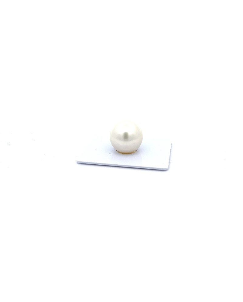 15mm+ gem  grade South Sea pearl, Australia