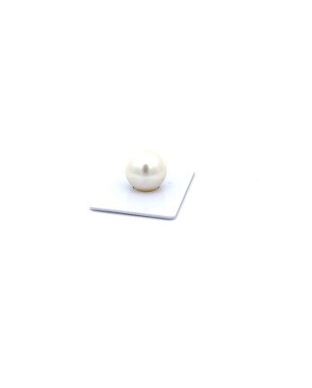 15mm+ gem  grade South Sea pearl, Australia