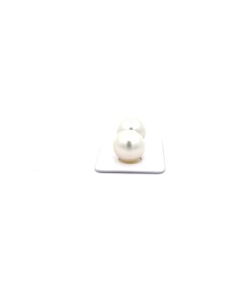 12mm+ gem  grade South Sea pearl, Australia