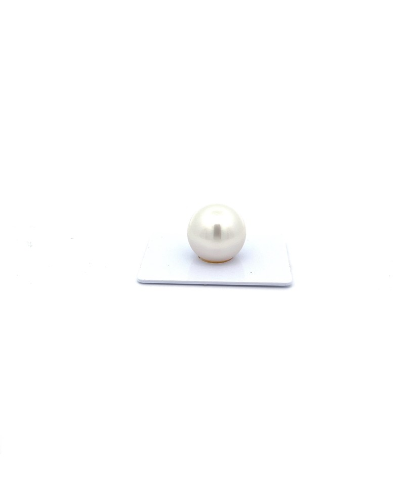 15mm+ gem  grade South Sea pearl, Australia
