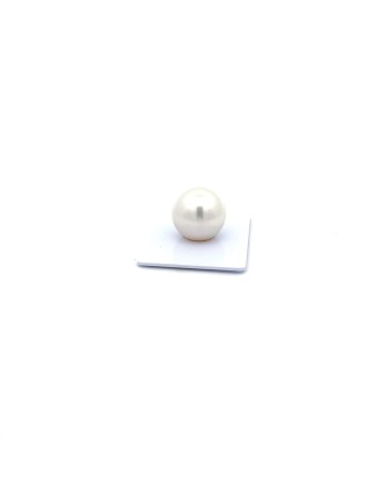 15mm+ gem  grade South Sea pearl, Australia