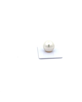 15mm+ gem  grade South Sea pearl, Australia