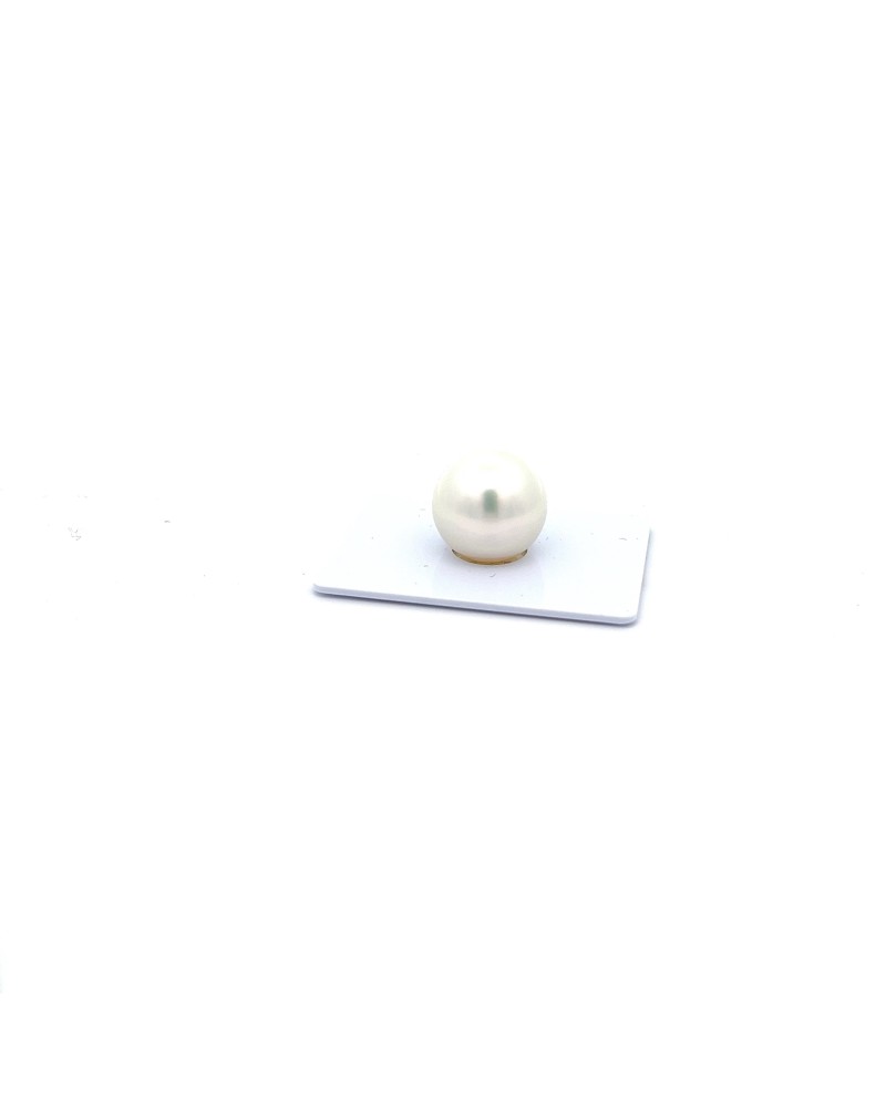 15mm+ gem  grade South Sea pearl, Australia