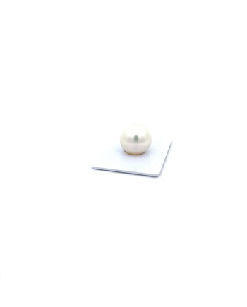 15.05mm South Sea pearl , origin Australia , gem  grade