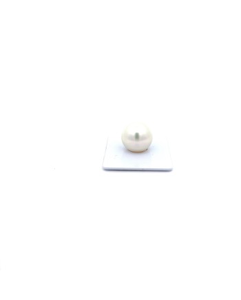 15.05mm South Sea pearl , origin Australia , gem  grade