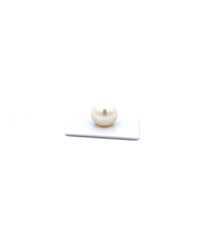 15mm+ gem  grade South Sea pearl, Australia