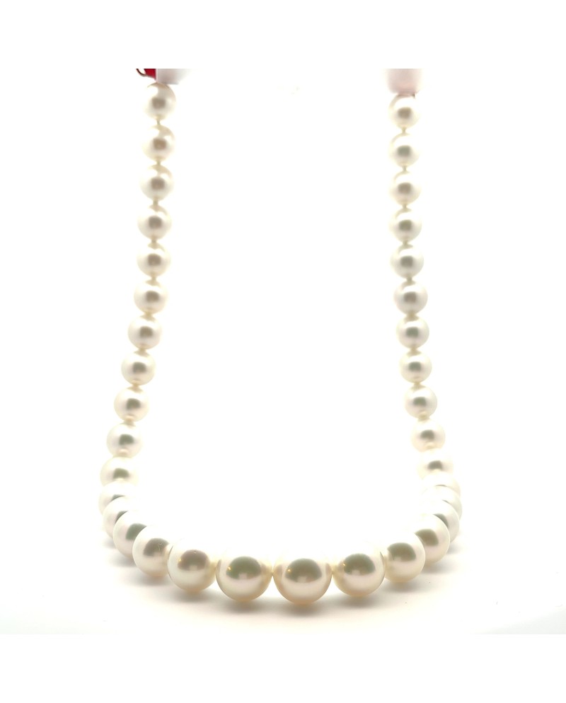 11.01-13.23mm South Sea pearl , origin Australia , gem  grade