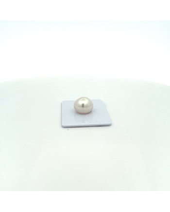 13.06mm South Sea pearl , origin Indonesia , fine  grade
